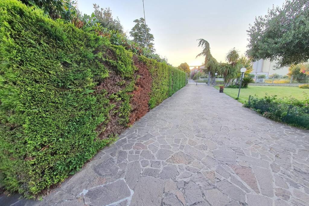 Villetta Giardino Degli Ulivi Ortona Buitenkant foto